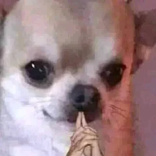 😕-вместо тысячи слов, Telegram Sticker