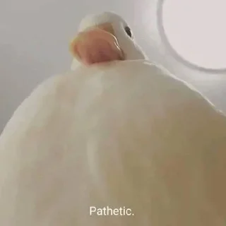 🐥-вместо тысячи слов, Telegram Sticker