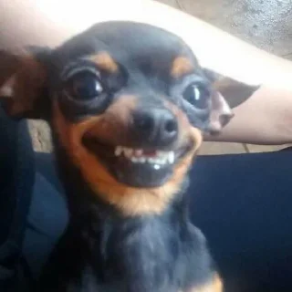 😏-вместо тысячи слов, Telegram Sticker