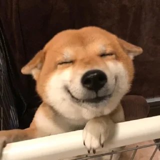 😊-вместо тысячи слов, Telegram Sticker