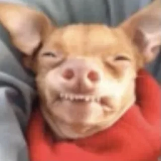 😬-вместо тысячи слов, Telegram Sticker