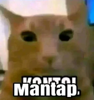 🤔-PRABWXXXTENTACION's kang pack, Telegram Sticker