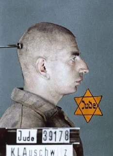 🇮🇱-𝑭𝒂𝒕𝒊𝒉'𝒔 𝑼𝒏𝒊𝒗𝒆𝒓𝒔𝒆, Telegram Sticker