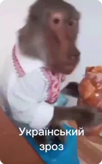 🇺🇦-Больше стиков тут: @stikery4, Telegram Sticker