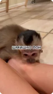 😂-Больше стиков тут: @stikery4, Telegram Sticker