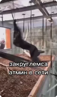 🙈-Больше стиков тут: @stikery4, Telegram Sticker