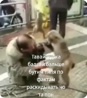 😡-Больше стиков тут: @stikery4, Telegram Sticker