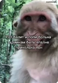 😁-Больше стиков тут: @stikery4, Telegram Sticker