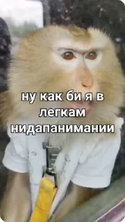 😕-Больше стиков тут: @stikery4, Telegram Sticker