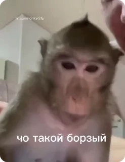😤-Больше стиков тут: @stikery4, Telegram Sticker