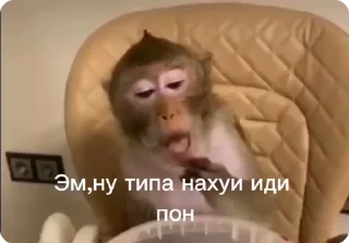 🖕-Больше стиков тут: @stikery4, Telegram Sticker