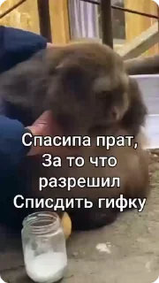 🥰-Больше стиков тут: @stikery4, Telegram Sticker