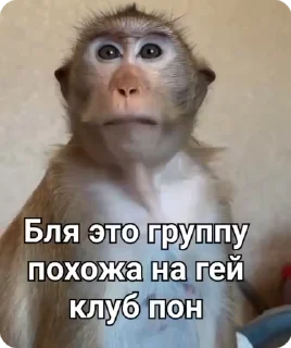 🍆-Больше стиков тут: @stikery4, Telegram Sticker