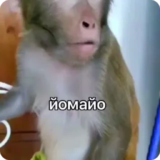 😯-Больше стиков тут: @stikery4, Telegram Sticker