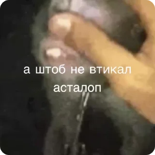🙌-Больше стиков тут: @stikery4, Telegram Sticker