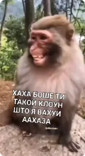 🤡-Больше стиков тут: @stikery4, Telegram Sticker