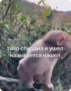 🤫-Больше стиков тут: @stikery4, Telegram Sticker