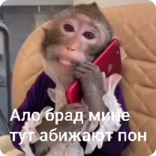 📞-Больше стиков тут: @stikery4, Telegram Sticker