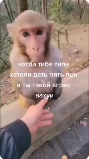 😠-Больше стиков тут: @stikery4, Telegram Sticker