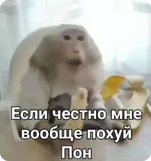 😐-Больше стиков тут: @stikery4, Telegram Sticker