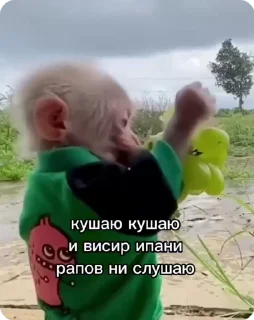 🍇-Больше стиков тут: @stikery4, Telegram Sticker