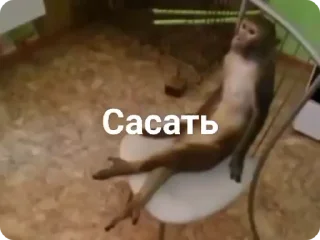 🍆-Больше стиков тут: @stikery4, Telegram Sticker