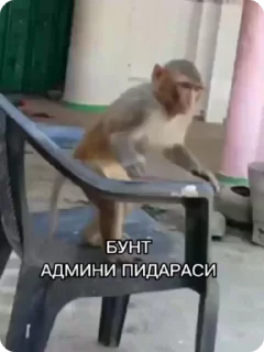 🤬-Больше стиков тут: @stikery4, Telegram Sticker