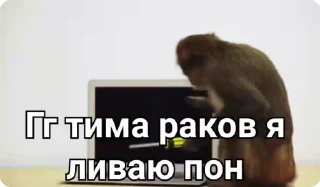 👎-Больше стиков тут: @stikery4, Telegram Sticker