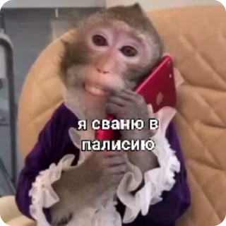 📞-Больше стиков тут: @stikery4, Telegram Sticker