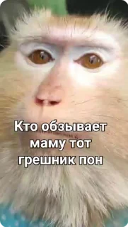 ☝️-Больше стиков тут: @stikery4, Telegram Sticker