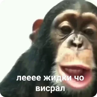 😂-Больше стиков тут: @stikery4, Telegram Sticker