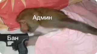 🚫-Больше стиков тут: @stikery4, Telegram Sticker