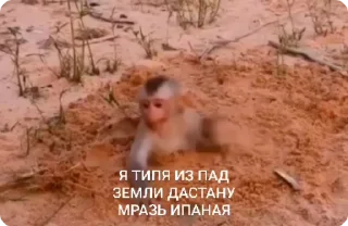 🤬-Больше стиков тут: @stikery4, Telegram Sticker