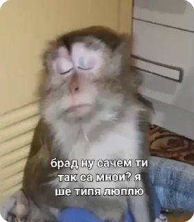 🥺-Больше стиков тут: @stikery4, Telegram Sticker