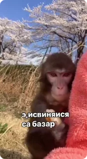 ☹️-Больше стиков тут: @stikery4, Telegram Sticker