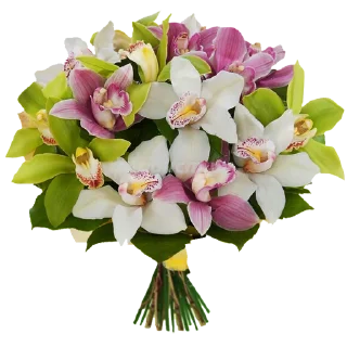 🌺-Flowers, Telegram Sticker