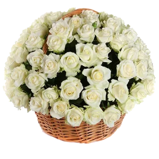 🌹-Flowers, Telegram Sticker
