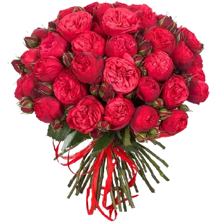 🌹-Flowers, Telegram Sticker