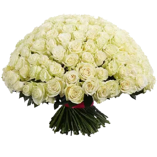 🌹-Flowers, Telegram Sticker