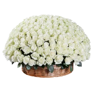 🌹-Flowers, Telegram Sticker