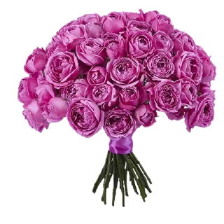 🌸-Flowers, Telegram Sticker