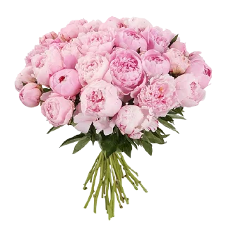 🌸-Flowers, Telegram Sticker
