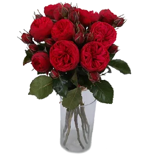 🌹-Flowers, Telegram Sticker