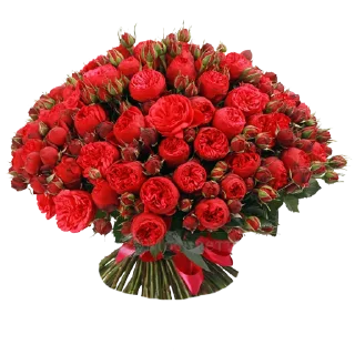 🌹-Flowers, Telegram Sticker