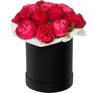 💐-Flowers, Telegram Sticker