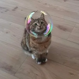 🐥-Fluff, Telegram Sticker