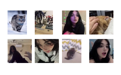 cat @freeASMR8 @freeVPN_bl
