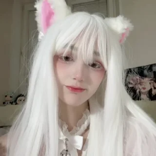 🌟-cat @freeASMR8 @freeVPN_bl, Telegram Sticker