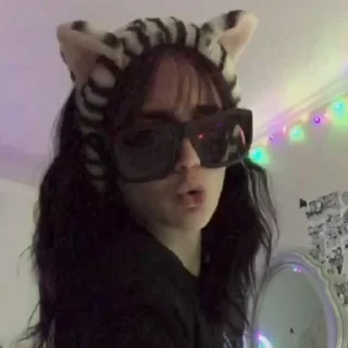 😎-cat @freeASMR8 @freeVPN_bl, Telegram Sticker