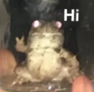 ✌️-Frogs_Toads @spatanx, Telegram Sticker